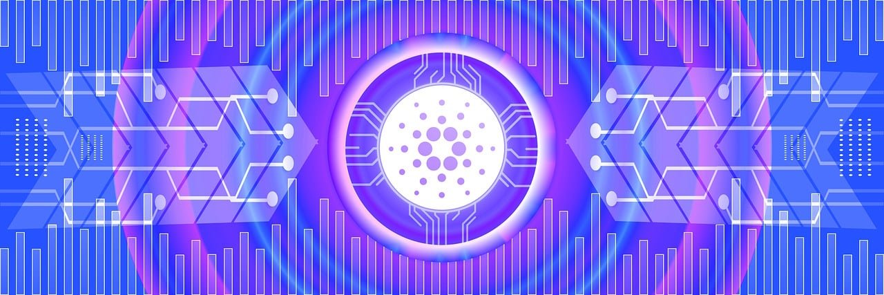 cardano image