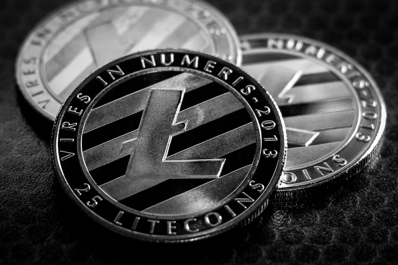 litecoin image