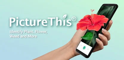 PictureThis - App