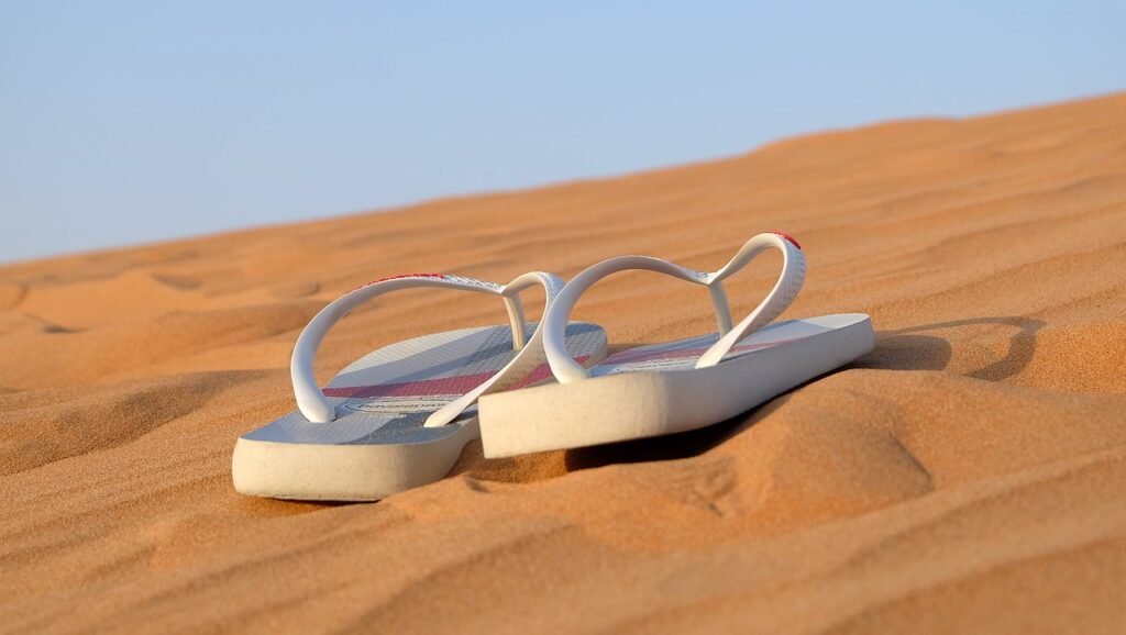 Havaianas imagem