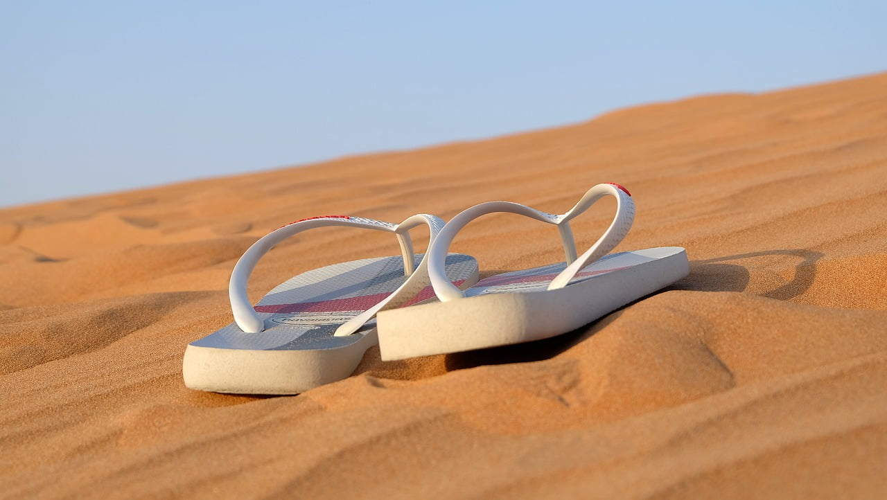 Havaianas imagem