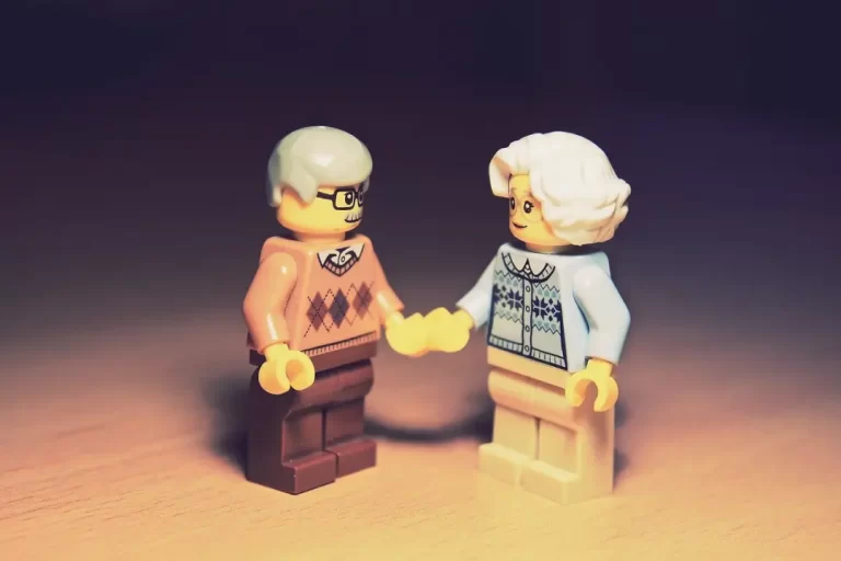 Casal lego imagem