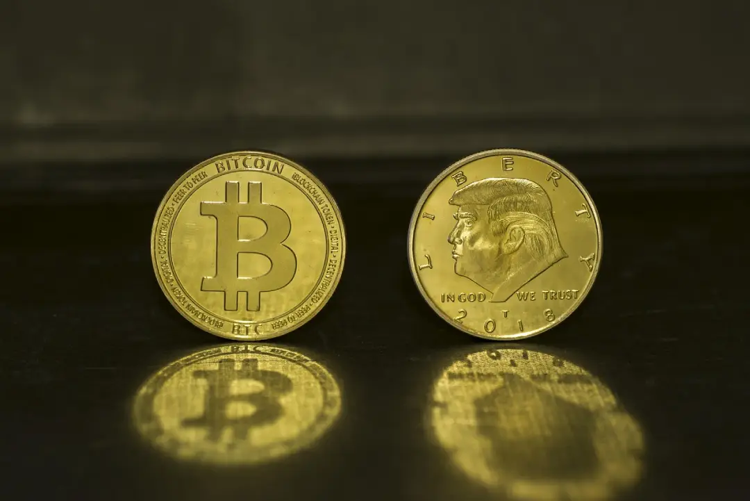 Bitcoin Donald Trump imagem