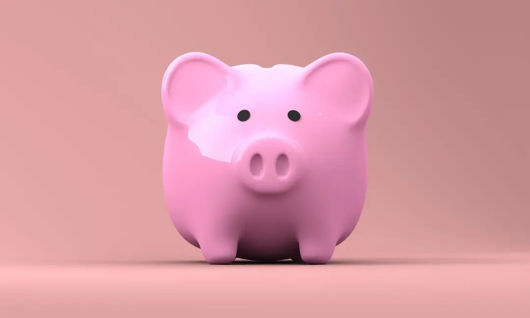 porquinho rosa imagem