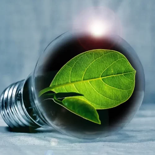 Lampada verde imagem