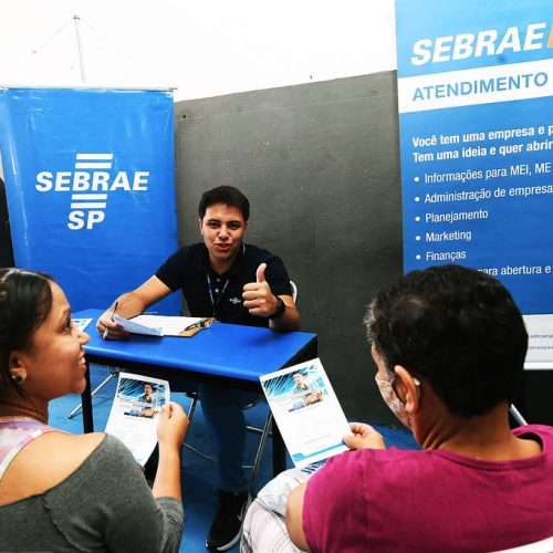 consultoria sebrae imagem