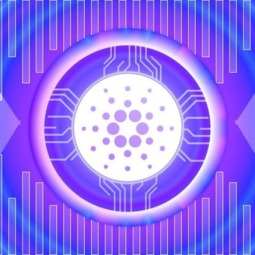 cardano image