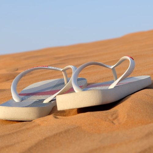 Havaianas imagem